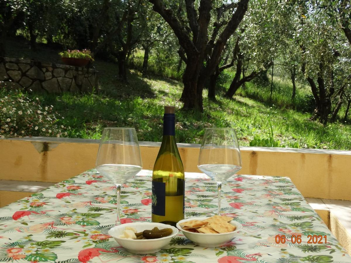 Poggio House, Tranquillita E Comfort Nella Natura San Casciano in Val di Pesa Kültér fotó