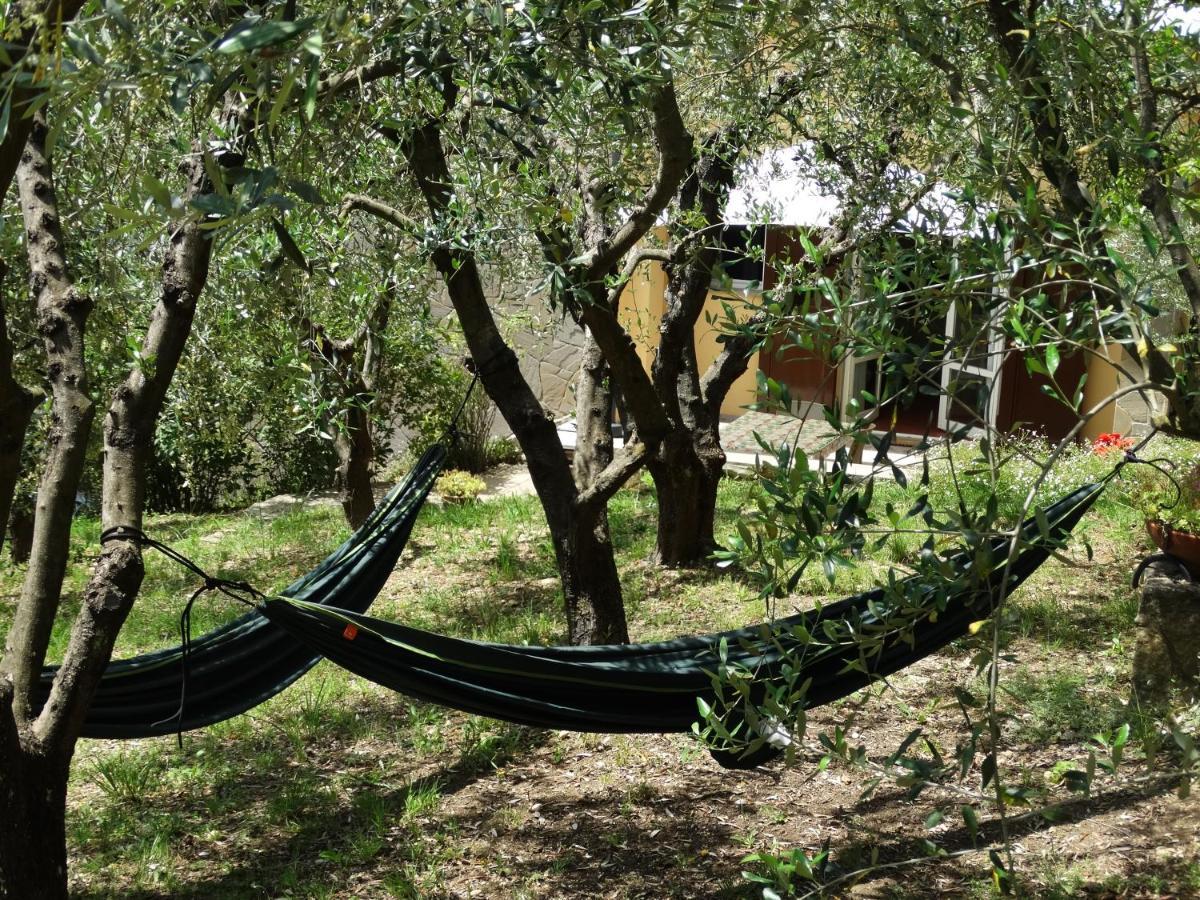 Poggio House, Tranquillita E Comfort Nella Natura San Casciano in Val di Pesa Kültér fotó