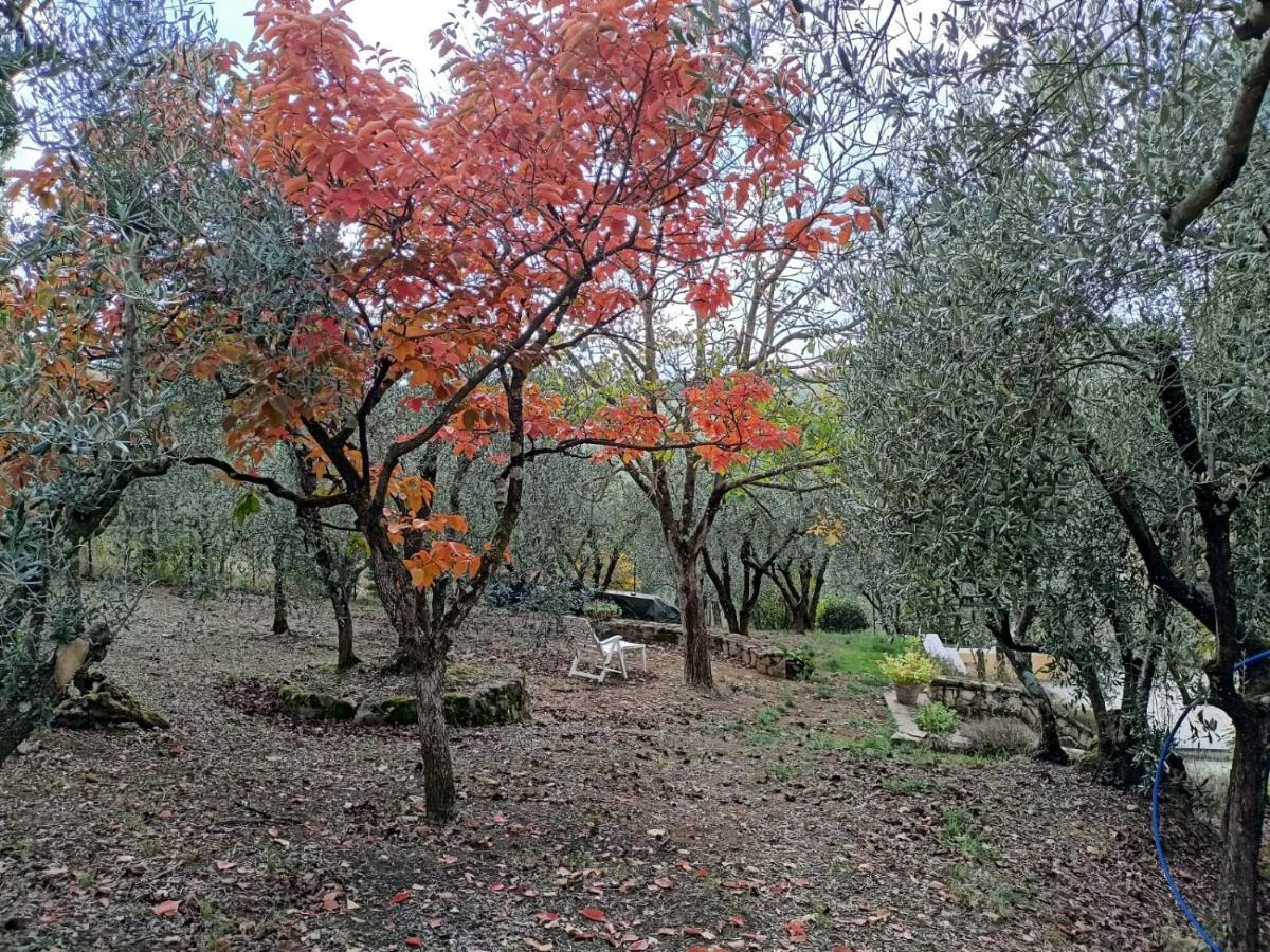 Poggio House, Tranquillita E Comfort Nella Natura San Casciano in Val di Pesa Kültér fotó