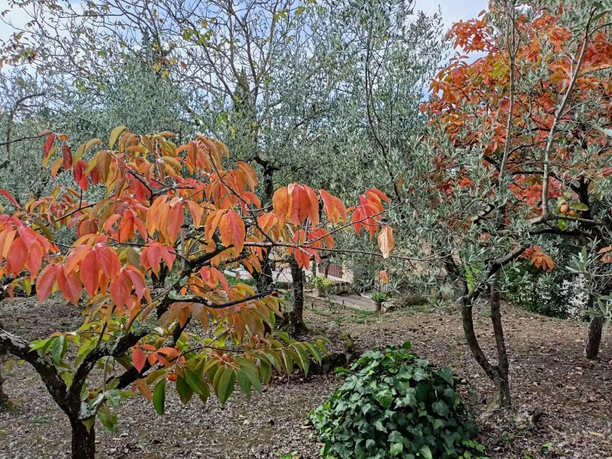Poggio House, Tranquillita E Comfort Nella Natura San Casciano in Val di Pesa Kültér fotó