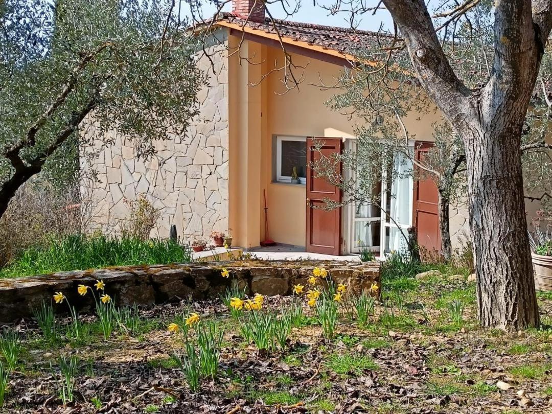 Poggio House, Tranquillita E Comfort Nella Natura San Casciano in Val di Pesa Kültér fotó