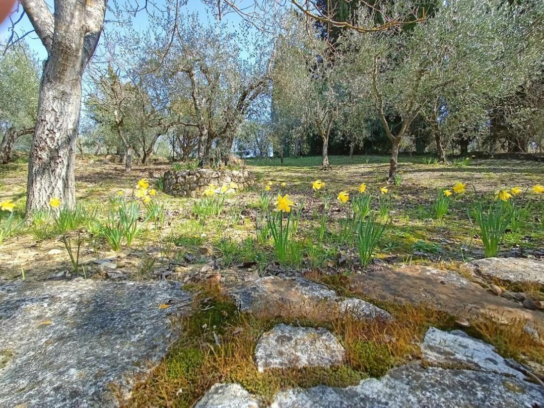 Poggio House, Tranquillita E Comfort Nella Natura San Casciano in Val di Pesa Kültér fotó